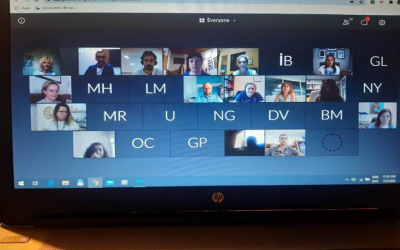 CONTEXT WGs’ virtual meetings