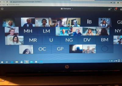 CONTEXT WGs’ virtual meetings